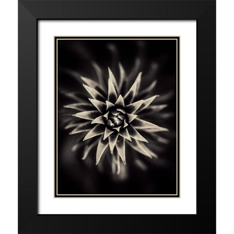 Star. Black Modern Wood Framed Art Print with Double Matting by Salem, Saad