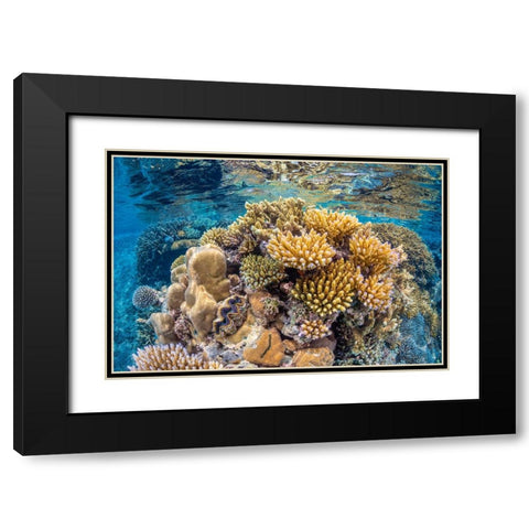Reef of Mayotte Black Modern Wood Framed Art Print with Double Matting by Gabriel, Barathieu
