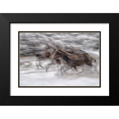 black dominance Black Modern Wood Framed Art Print with Double Matting by Malovrh, Milan