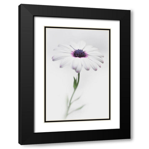 In My Garden_3 Black Modern Wood Framed Art Print with Double Matting by Grambone, Antonio