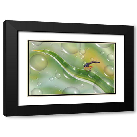 Migration To Another Planet... Black Modern Wood Framed Art Print with Double Matting by Dufour, Thierry