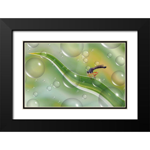Migration To Another Planet... Black Modern Wood Framed Art Print with Double Matting by Dufour, Thierry