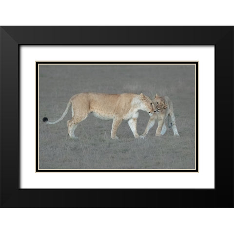 I love you, Mom! Black Modern Wood Framed Art Print with Double Matting by Xu, Sheila