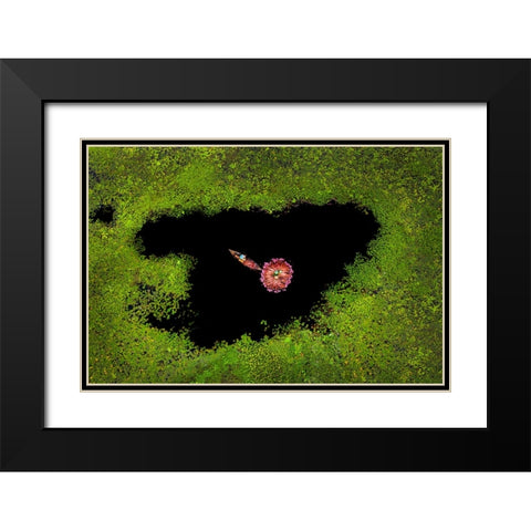Harvesting Waterlily Black Modern Wood Framed Art Print with Double Matting by Adikary, Sujon