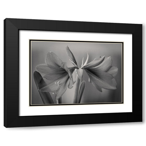 Elegance Black Modern Wood Framed Art Print with Double Matting by Rauwerdink, Jan