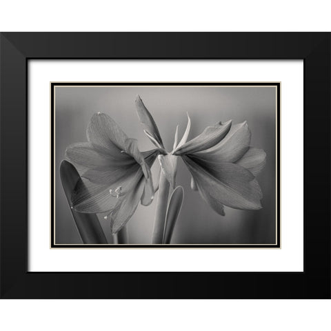 Elegance Black Modern Wood Framed Art Print with Double Matting by Rauwerdink, Jan