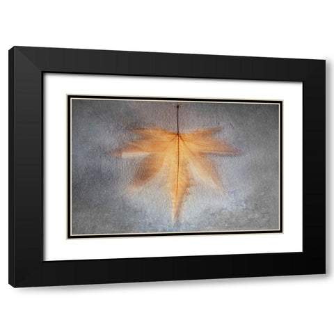 Illusions Of The Past Black Modern Wood Framed Art Print with Double Matting by Kiral, Cicek
