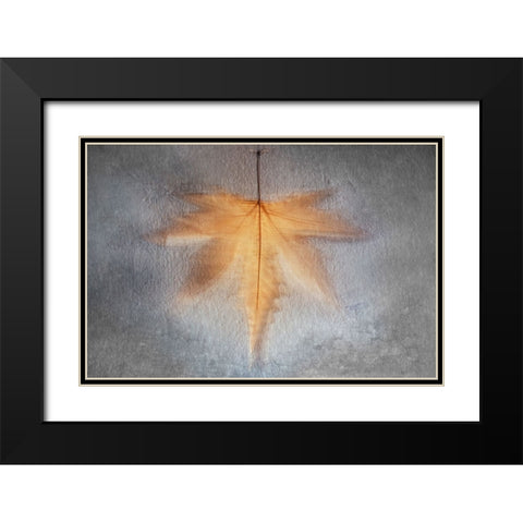 Illusions Of The Past Black Modern Wood Framed Art Print with Double Matting by Kiral, Cicek