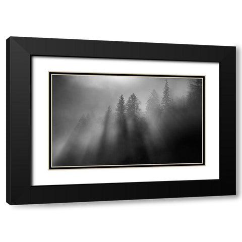 wintersun Black Modern Wood Framed Art Print with Double Matting by Dauer, Andy