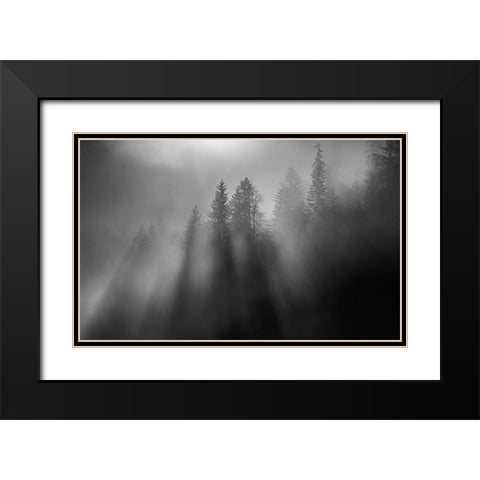 wintersun Black Modern Wood Framed Art Print with Double Matting by Dauer, Andy