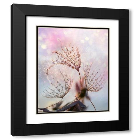 macro Black Modern Wood Framed Art Print with Double Matting by Markova, Tanya