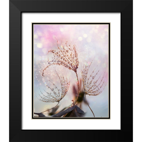 macro Black Modern Wood Framed Art Print with Double Matting by Markova, Tanya