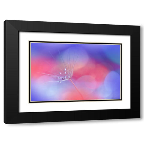 Creation Of Life..II Black Modern Wood Framed Art Print with Double Matting by Nan, Juliana