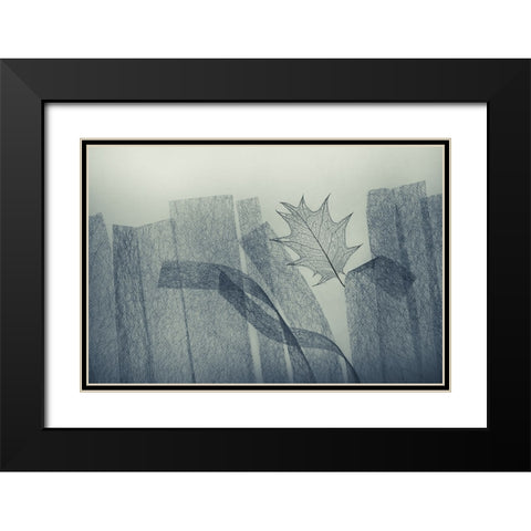 Leaf Black Modern Wood Framed Art Print with Double Matting by Kowatari, Shihya
