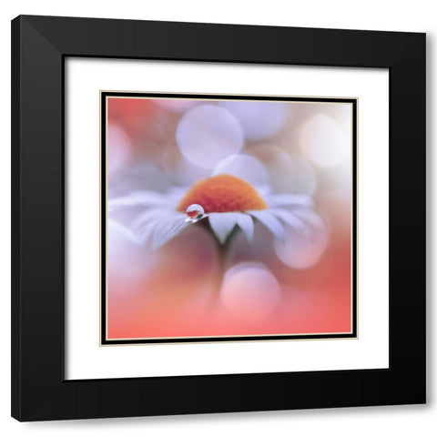 Summer Mood.. Black Modern Wood Framed Art Print with Double Matting by Nan, Juliana