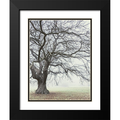 Field And Fog Black Modern Wood Framed Art Print with Double Matting by Allen, Elizabeth