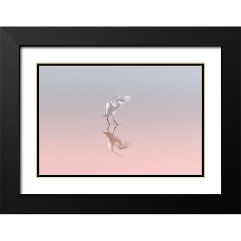 Little Egret Black Modern Wood Framed Art Print with Double Matting by Rublina, Natalia