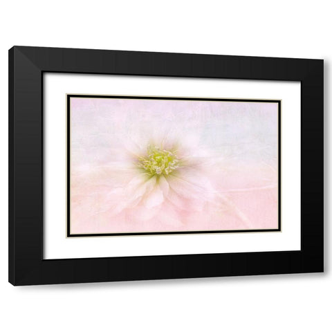 Over The Rainbow Black Modern Wood Framed Art Print with Double Matting by Parker, Jacky