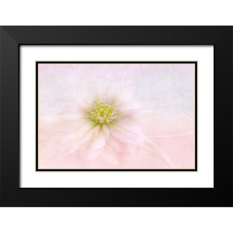 Over The Rainbow Black Modern Wood Framed Art Print with Double Matting by Parker, Jacky