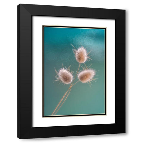Ribbit Tails Black Modern Wood Framed Art Print with Double Matting by Jacobs, Lydia