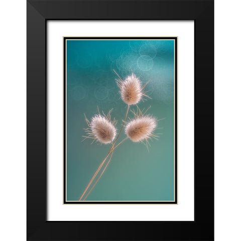 Ribbit Tails Black Modern Wood Framed Art Print with Double Matting by Jacobs, Lydia
