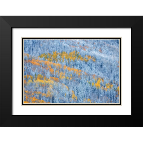 Transition of Seasons Black Modern Wood Framed Art Print with Double Matting by Xu, Mei