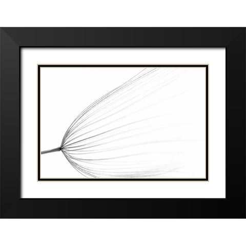The Big Minimal Black Modern Wood Framed Art Print with Double Matting by Terravecchia, Rino
