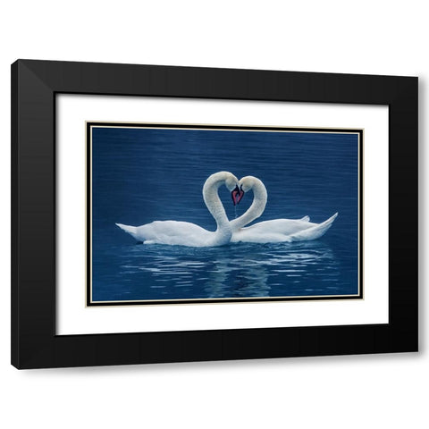 cp Black Modern Wood Framed Art Print with Double Matting by Uu