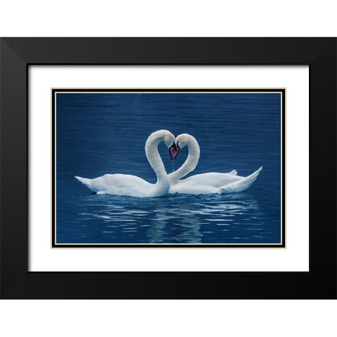 cp Black Modern Wood Framed Art Print with Double Matting by Uu