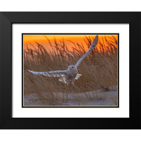 Good Morning Sunshine! Black Modern Wood Framed Art Print with Double Matting by Qiang, Tu