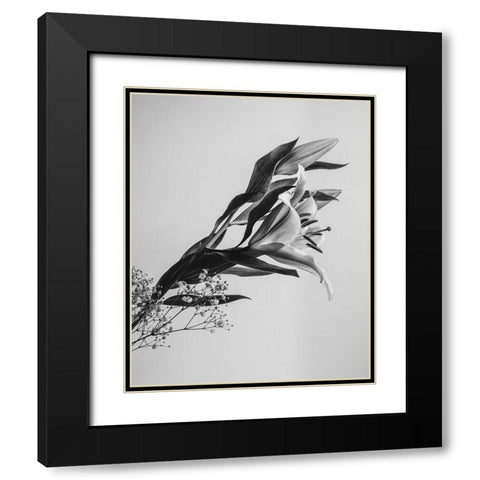 A Beautiful Flower Black Modern Wood Framed Art Print with Double Matting by Jo, Rahel