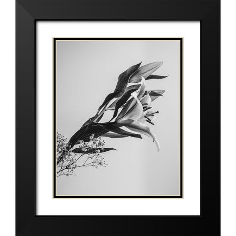 A Beautiful Flower Black Modern Wood Framed Art Print with Double Matting by Jo, Rahel
