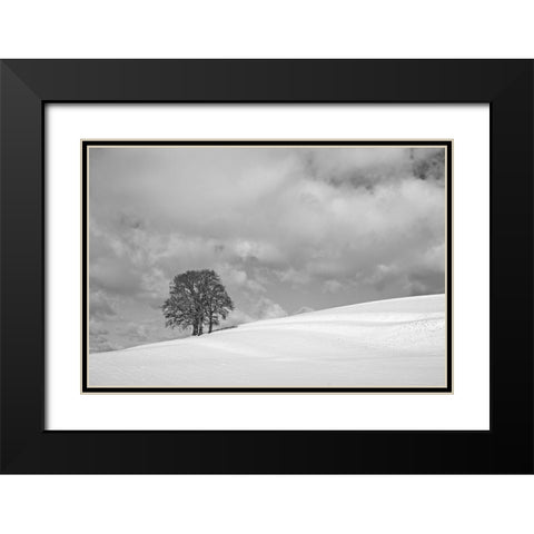 A cloudy winter day Black Modern Wood Framed Art Print with Double Matting by Peter Rank, Hans