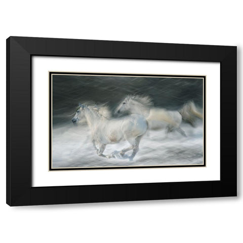 Gallop In A Duel Black Modern Wood Framed Art Print with Double Matting by Malovrh, Milan