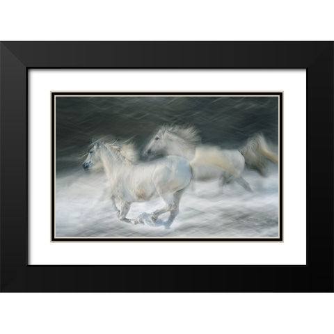 Gallop In A Duel Black Modern Wood Framed Art Print with Double Matting by Malovrh, Milan