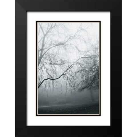 Foggy Winter Morning 2 Black Modern Wood Framed Art Print with Double Matting by Allen, Elizabeth
