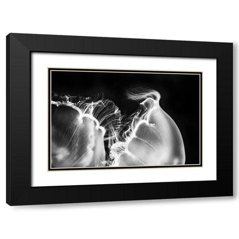 Untitled Black Modern Wood Framed Art Print with Double Matting by Berry, Jerry
