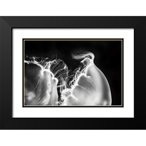 Untitled Black Modern Wood Framed Art Print with Double Matting by Berry, Jerry