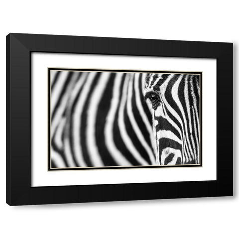 Zebra Stripes Black Modern Wood Framed Art Print with Double Matting by Guijt, Richard
