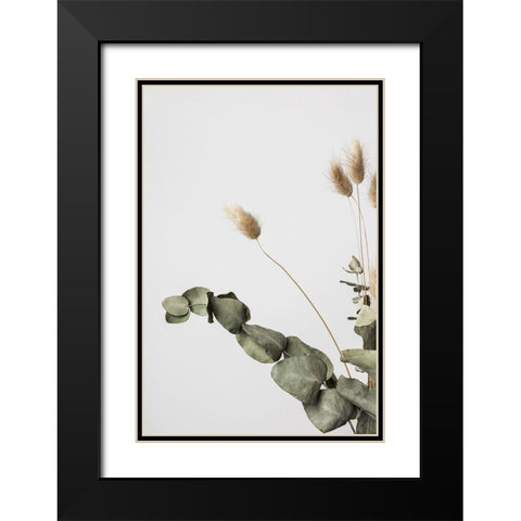 Dried_002 Black Modern Wood Framed Art Print with Double Matting by 1x Studio III