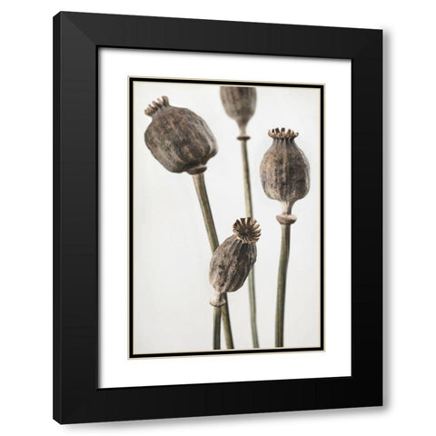 Dried_006 Black Modern Wood Framed Art Print with Double Matting by 1x Studio III