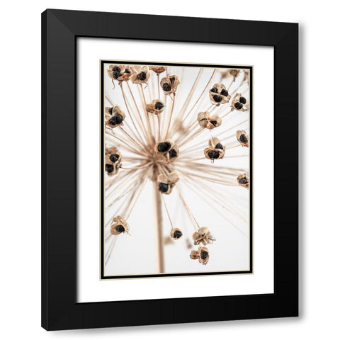 Dried_007 Black Modern Wood Framed Art Print with Double Matting by 1x Studio III