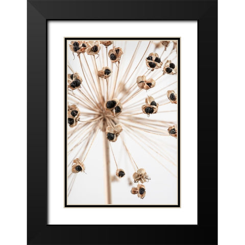 Dried_007 Black Modern Wood Framed Art Print with Double Matting by 1x Studio III
