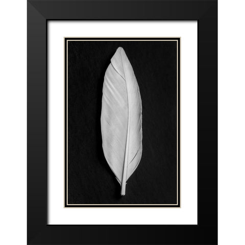 Feather_008 Black Modern Wood Framed Art Print with Double Matting by 1x Studio III