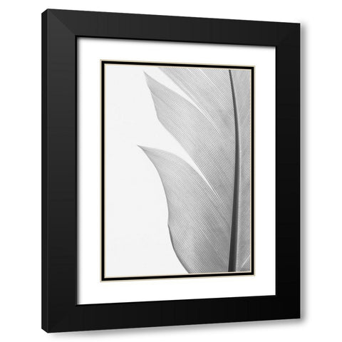 Feather_004 Black Modern Wood Framed Art Print with Double Matting by 1x Studio III