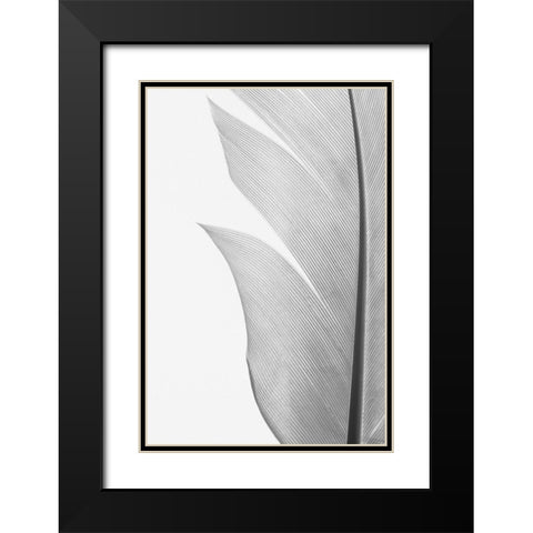 Feather_004 Black Modern Wood Framed Art Print with Double Matting by 1x Studio III