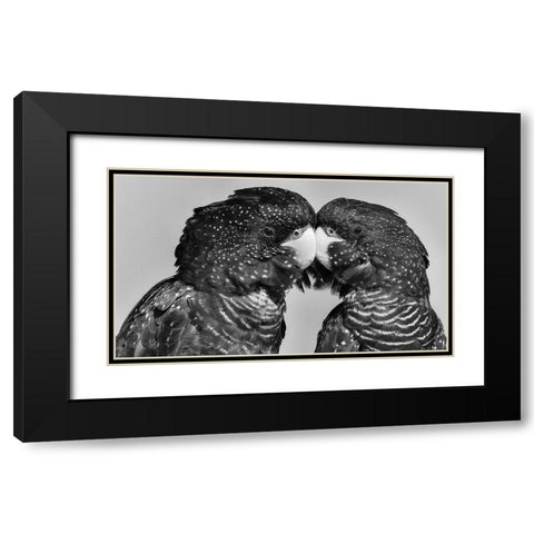 Time to Smootch Black Modern Wood Framed Art Print with Double Matting by Moss, Susan