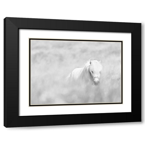 White Horse Black Modern Wood Framed Art Print with Double Matting by Paritskiy, Oles