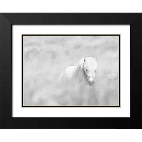 White Horse Black Modern Wood Framed Art Print with Double Matting by Paritskiy, Oles