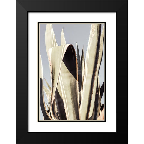 Agave_001 Black Modern Wood Framed Art Print with Double Matting by 1x Studio III